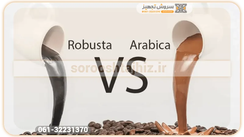 تفاوت بین کرما عربیکار و روبوستا چیست